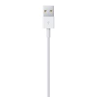 Miniatura 7 de LIGHTNING TO USB CABLE (2 M)