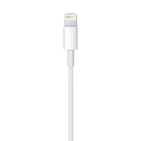 Miniatura 4 de LIGHTNING TO USB CABLE (1 M)