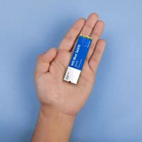 Miniatura 6 de WESTERN DIGITAL Blue SA510  SSD 2000GB M.2  560MB/s 6Gbit/s  Serial ATA III
