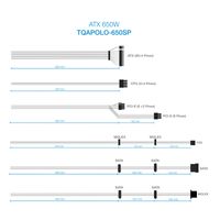 Miniatura 6 de Fuente Alimentación 650W TOOQ  TQAPOLO-650SP No Non-Modular Negro