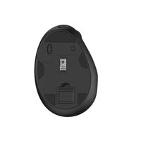 Miniatura 2 de Ewent EW3208 rat  n Universal mano derecha RF Wireless   Bluetooth   ptico 4000 DPI