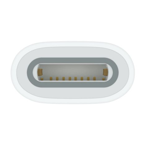 USB-C to Apple Pencil Adapter - Imagen 4 de 4 USB-C to Apple Pencil Adapter - Imagen 4 de 4