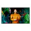 SAMSUNG QHC QH43C 43" LCD VA 4K Ultra HD HDMI