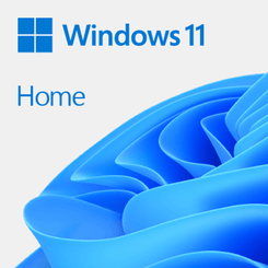 WINDOWS HOME 11 32/64BIT ESP PKC WINDOWS HOME 11 32/64BIT ESP PKC