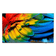 PHILIPS 50" 50HFL6214U LED 4K Ultra HD PHILIPS 50" 50HFL6214U LED 4K Ultra HD