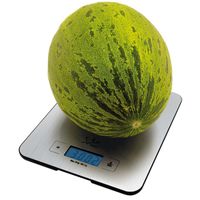 Miniatura 3 de BASCULA DE COCINA JATA HASTA 15KG GRADUACION 1G RELOJ INTEGRADO FUNCION TARA TEMPORIZADOR VISOR LC