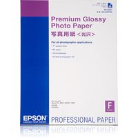 Miniatura 2 de EPSON PREMIUM GLOSSY PHOTO PAPER / LAMINAS PAPEL DIN A2 255 GR/M2 25 HOJAS