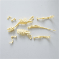 Miniatura 4 de KIT REALIDAD AUMENTADA INNOBO UTOPIA PTEROSAURIO