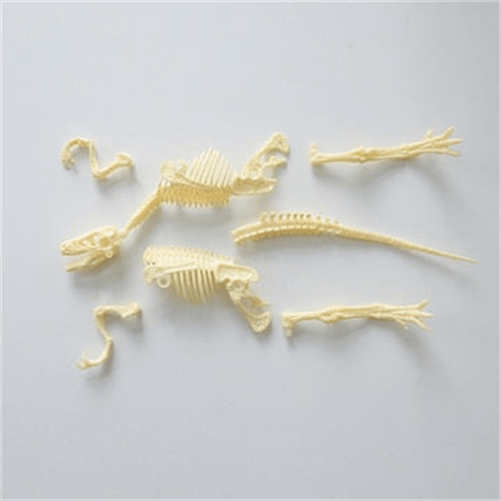 KIT REALIDAD AUMENTADA INNOBO UTOPIA PTEROSAURIO - Imagen 4 de 4 KIT REALIDAD AUMENTADA INNOBO UTOPIA PTEROSAURIO - Imagen 4 de 4