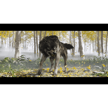Juego Sony PS5 Ghost of Yotei - Imagen 9 de 14 Juego Sony PS5 Ghost of Yotei - Imagen 9 de 14