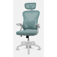 Miniatura 1 de DRIFT Silla Gaming DRAIR35 Blanca/Turquesa