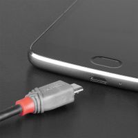 Miniatura 5 de 2M USB 2.0  TYPE C TO MICRO-B