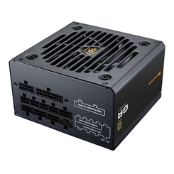 Fuente Alimentación 850W COUGAR  CGRGDN-850 80 PLUS Gold Fully-Modular Negro