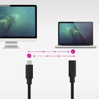 Miniatura 5 de Nanocable Cable USB 3.2 GEN2x2 100W C/M-H 0,5 m
