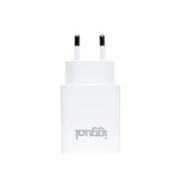 Miniatura 1 de iggual Cargador de pared 1xUSB 5V/2.4A (12W)