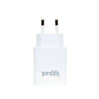 Miniatura 2 de iggual Cargador de pared 1xUSB 5V/2.4A (12W)