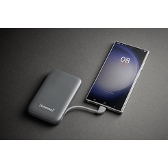 Intenso PowerBank S10000 10000 mAh Gris