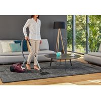 Miniatura 12 de ASPIRADOR CON BOLSA ROWENTA RO3969EA 750 W