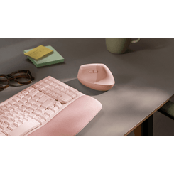LIFT - ROSE/DARK ROSE - EMEA