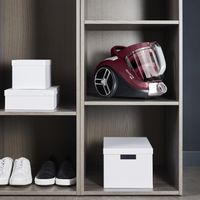 Miniatura 7 de ASPIRADOR CON BOLSA ROWENTA RO4B63EA 750 W