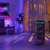 Miniatura 5 de ALTAVOCES ENERGY SISTEM PARTY KARAOKE 150W 2 MICROS