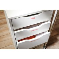 Miniatura 11 de CINTA ROTULADORA D1 12MMX7M ROJO/BLANCO DYMO S0720550