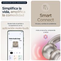 Miniatura 14 de AURICULARES MOTOROLA MOTO BUDS LOOP SWAROVSKI
