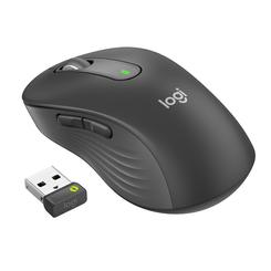 SIGNATURE M650 L WRLS MOUSE GRAPHITE EMEA - RIGHT-HANDED -  L