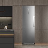 Miniatura 5 de FRIGORIFICO UNA PUERTA HISENSE FT3K310SAIE1 NOFROST E ALTO 185.6  CM ANCHO 59.5 CM INOX