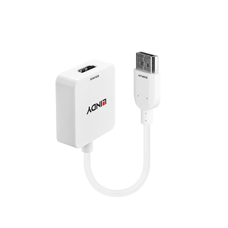 CONVERTE HDMI DISPPORT 4K 3840X2160 - Imagen 1 de 5 CONVERTE HDMI DISPPORT 4K 3840X2160 - Imagen 1 de 5