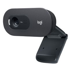 Logitech Webcam C505 1280x720