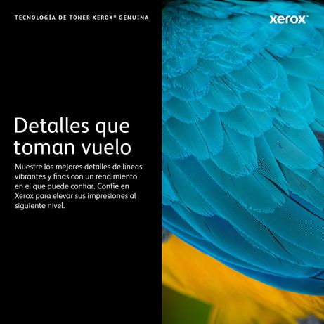 XEROX Phaser 6022 Workcenter 6027 Toner Magenta - Imagen 3 de 5 XEROX Phaser 6022 Workcenter 6027 Toner Magenta - Imagen 3 de 5