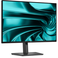 DELL PRO P24 USB-C  P2426E