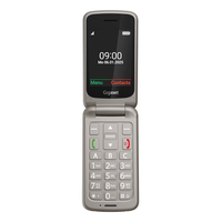 Miniatura 1 de Gigaset Móvil Senior GL595 2.8 SIM Grey Titanium