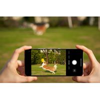 Miniatura 15 de Smartphone  TCL 70 NXTPAPER 70 Pro 6.9" 5G 8GB/256GB Oro