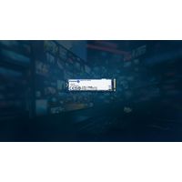 Miniatura 12 de KINGSTON  1000G NV3 M.2 2280 NVMe SSD  SSD 1000GB M.2  6000MB/s PCI Express 4.0 NVMe