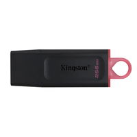Miniatura 1 de MEMORIA 256GB EXODIA KINGSTON USB 3.2 (BLACK + PINK)