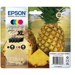 Ink/604XL Pineapple CMYK