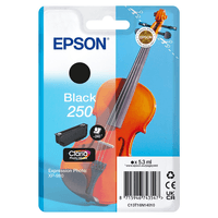 Miniatura 1 de EPSON Singlepack Black 250 ink