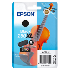EPSON Singlepack Black 250XL ink