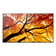 MONITOR SHARP M432  MultiSync 42.5" IPS 3840 x 2160 HDMI Altavoces