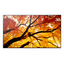 MONITOR SHARP M432  MultiSync 42.5" IPS 3840 x 2160 HDMI Altavoces