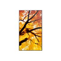 Miniatura 4 de MONITOR SHARP M432  MultiSync 42.5" IPS 3840 x 2160 HDMI Altavoces