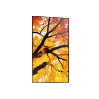 Miniatura 5 de MONITOR SHARP M432  MultiSync 42.5" IPS 3840 x 2160 HDMI Altavoces
