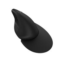 Miniatura 23 de HP 925 ERGO VRTCL WIRELESS MOUSE