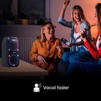 Miniatura 9 de ALTAVOZ PORTATIL HISENSE PARTY ROCKER 160 2.0 160W BT USB NEGRO