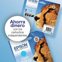 Miniatura 4 de CARTUCHO EPSON NEGRO D78/DX4000/DX4050 C13T07114022