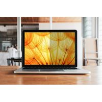 Miniatura 3 de Filter 3M Bright 16in/16:10