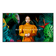 SAMSUNG QB50C  QBC 50" LCD VA 4K Ultra HD HDMI