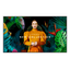 SAMSUNG QB50C  QBC 50" LCD VA 4K Ultra HD HDMI